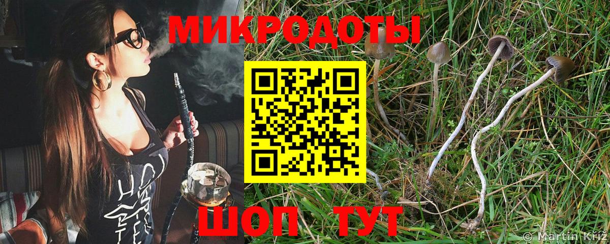 Галлюциногенные грибы прущие грибы  Вход с VPN  Кимовск 